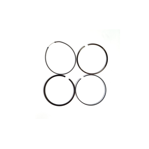 SX-5527662328- 1.png