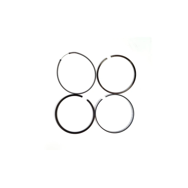 SX-5527662328- 1.png